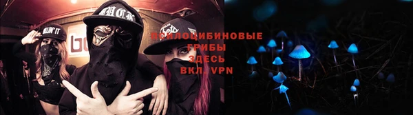 бошки Новокубанск