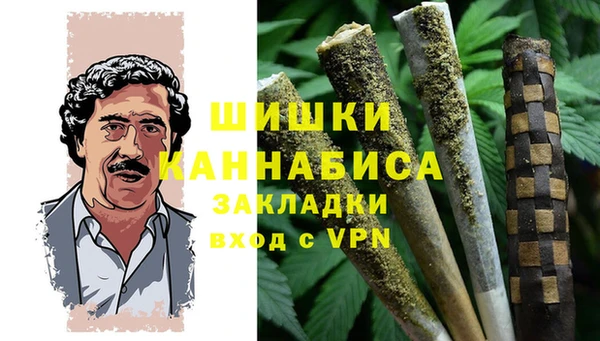 кокс Арсеньев